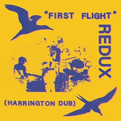 Chris Forsyth - First Flight Redux (Harrington Dub) - Music & Performance - Vinyl