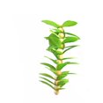thumbnail image 2 of Prevue Leaf Kabob Action Bird Toy, 2 of 2