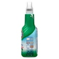 thumbnail image 4 of Clorox Clean-Up With Bleach 32 Fluid ounce(s) Original Disinfectant Liquid All-Purpose Cleaner, 4 of 5