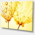 thumbnail image 2 of Graines de Pissenlit avec Gouttes d'Eau - Impression sur Toile Florale, 2 of 3