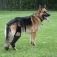 thumbnail image 3 of Dog braces for rear leg support xl, 3 of 5
