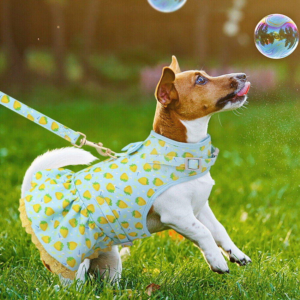 Pet Artist Cute Girl Dog Harness Dress and Leash set Fancy Summer Small Pet Cat Vest Clothes