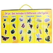 Insect Lores Life Cycle Figurines 24 Pc Set | Butterfly, Ladybug, Frog, Honey Bee, Ant and Praying Mantis | 4 Stages Per Insect, 24 Figurines Total