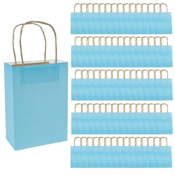 Kraft Paper Gift Bags Light Blue Medium Bulk 60 Pc
