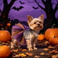 thumbnail image 5 of AuroraX Dog Halloween Costume Set Dog Costumes Halloween Small Stretchy Soft Adjustable 3 Pcs Lightweight Pet Halloween Costume National Dog Month, 5 of 6
