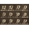 thumbnail image 2 of Muybridge, Eadweard J. 18x14 White Modern Wood Framed Museum Art Print Titled - Motion Study: Men Fighting, 2 of 4