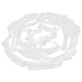 thumbnail image 4 of Bullicio enagua jaula enagua enagua boda enagua jaula novia vestido enagua, 4 of 6