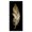 Golden Glam Feather, variant on Stupell Industries Glam Glam Lined Feather Black Floating Frame Canvas Art, 11 x 25, by Kim Allen