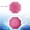 Pink, variant on Travel Parasol Folding Rain Windproof Umbrella Portable Sun Compact Outdoor Gear Pink