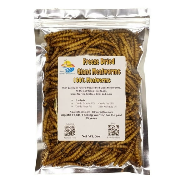 5oz. Freeze Dried Superworms, High Protein Mealworms for Large Tropicals, Koi Fish, Hamsters, Sugar Gliders, Hedgehogs, All Rodents, Birds, All Reptiles and Turtles. 5oz Bag
