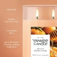 thumbnail image 3 of Yankee Candle Honey Clementine Large Tumbler Scented Candles, 20 oz, 3 of 8