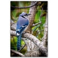 thumbnail image 1 of Picture-Tiles.com: Bird Ceramic Tile Wall Mural WAL500208-46S. 17"W x 25.5"H using (24) 4.25" x 4.25" Ceramic Tiles-Satin Finish, 1 of 3