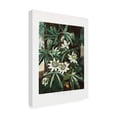 thumbnail image 4 of Trademark Fine Art Pictufy  The Passiflora Cerulea from The Temple of Flora 1807 Canvas Wall Art, 4 of 4
