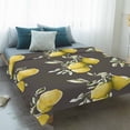 thumbnail image 4 of Summer Yellow Lemon Blanket Soft Cozy Warm Throw Blanket for Couch, Plush Fuzzy Flannel Fleece Blankets for Sofa, Watercolor Botanical Modern Bed Blankets Lightweight Gifts for Women, 40"x60", 4 of 9