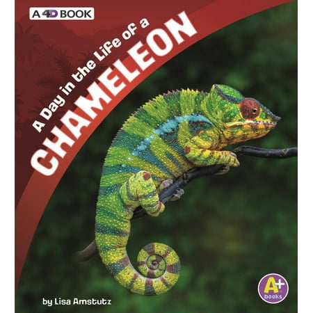 A Day in the Life of a Chameleon : A 4D Book