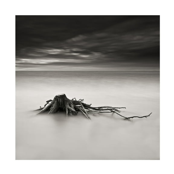 Canvas Wall Art - Benoit Thierard 'Immortel' Wall Art for Living Room, Bedroom, or Office Décor by Trademark Fine Art - 14 x 14 Inches