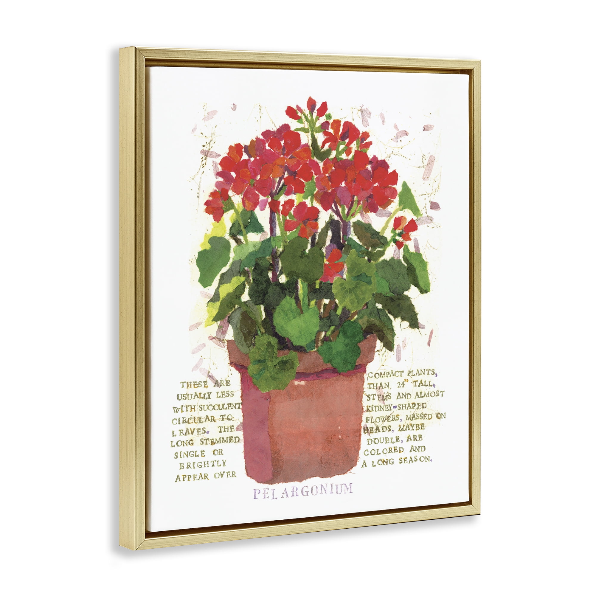 Stupell Industries Red Potted Geranium Botanical & Floral Painting Gold Floater Framed Canvas Art Print Wall Art, 17 x 21