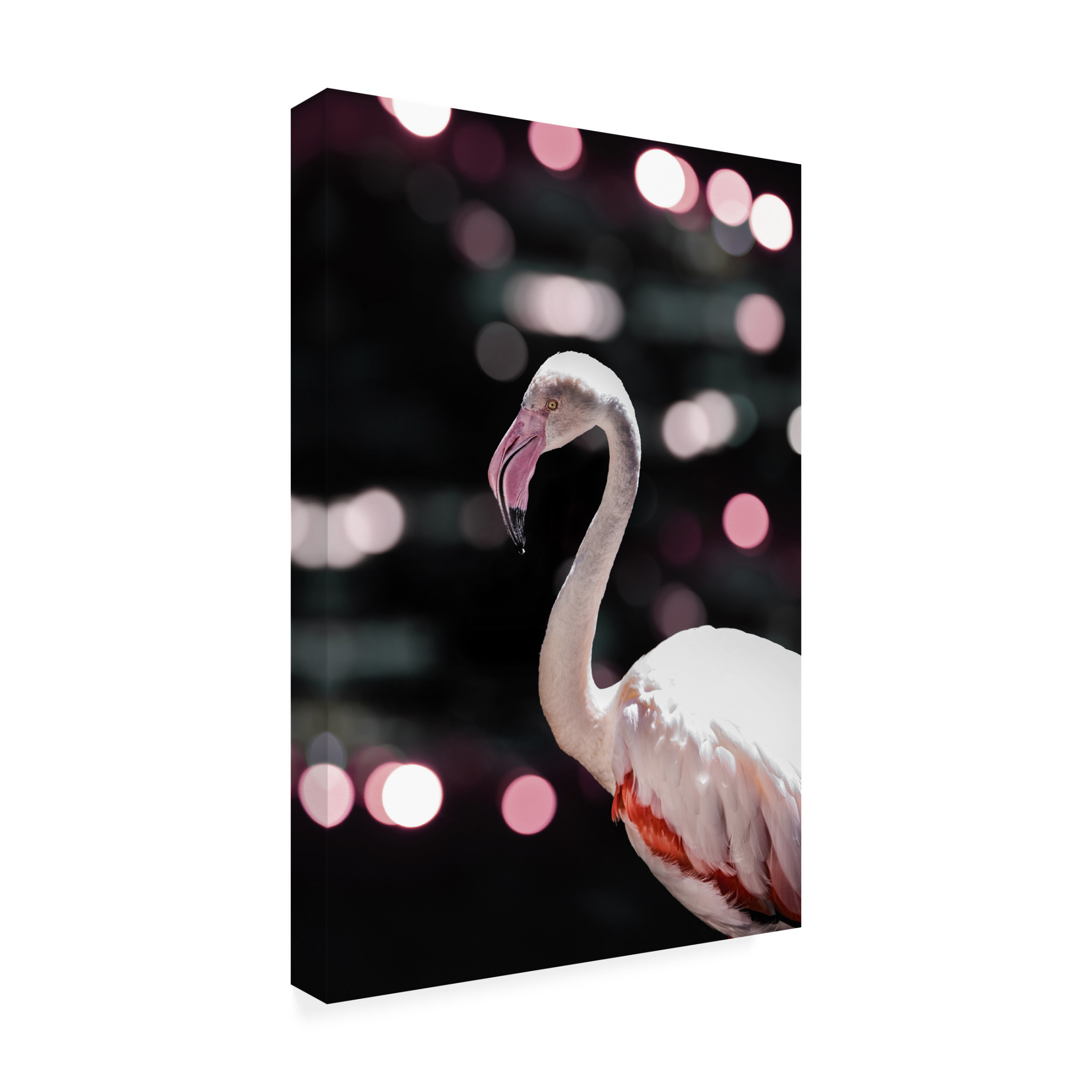 Trademark Fine Art Shot by Clint Disco Flamingo Canvas Wall Art