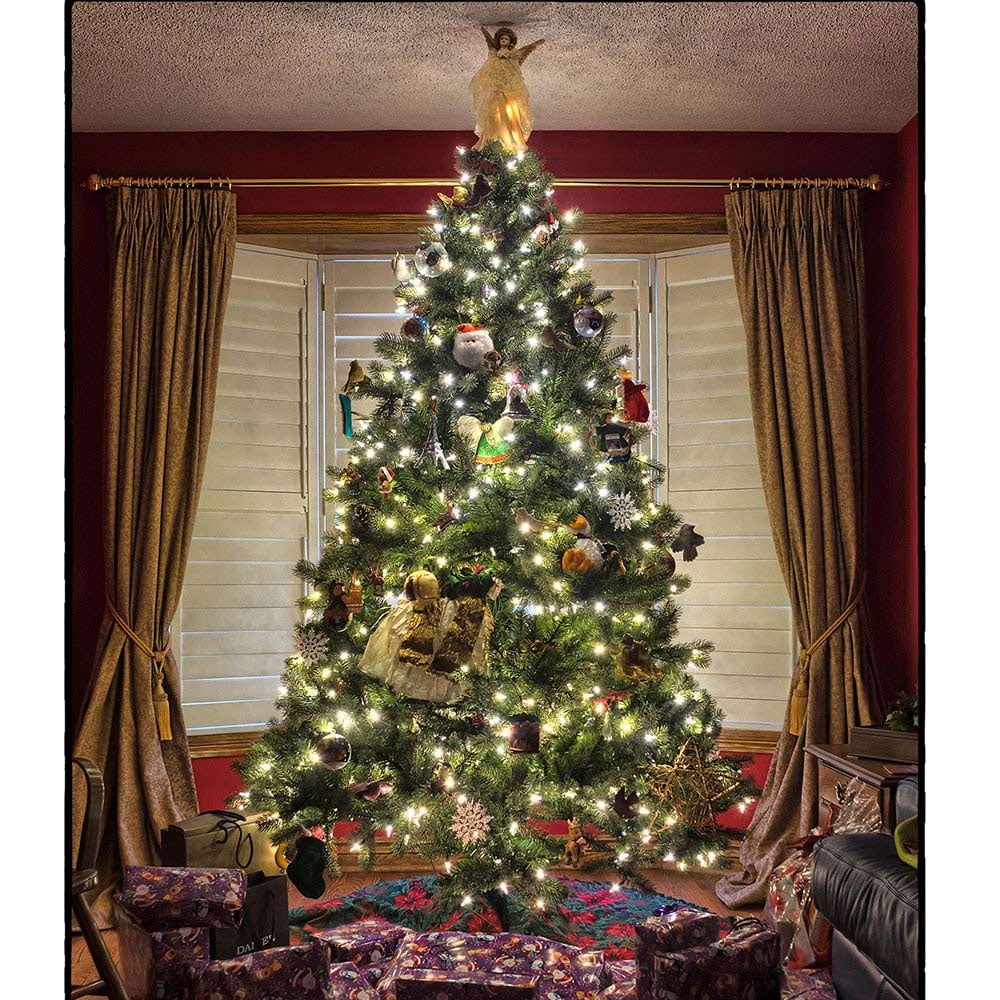 DELight 66ft 200 LEDs String Light Battery Operated Starry Fair Lights 8 Modes Xmas Decor Rope Lighting Waterproof