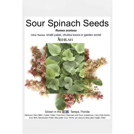 Exotic Sour Spinach Plant Seeds