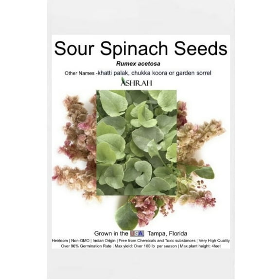 Exotic Sour Spinach Plant Seeds