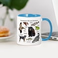 thumbnail image 3 of CafePress - Louisiana State Animals Mug - 11 oz Ceramic Mug - Novelty Coffee Tea Cup, 3 of 4