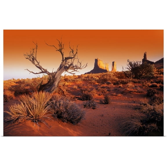 Great BIG Canvas | "Dead Tree In Desert Monument Valley, United States Of America" Art Print - 48x32