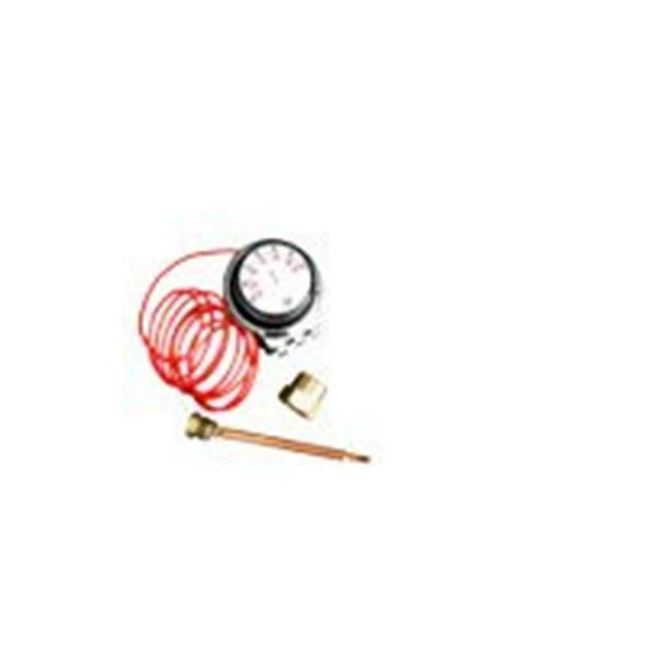 Thermostat with Probe 0.5 in. 86195 deg