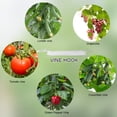 thumbnail image 5 of 10PCS Tomato Support Hooks, Flexible Fruit Cherry V Type Twine on Hook, 33ft Rope, 5 of 5
