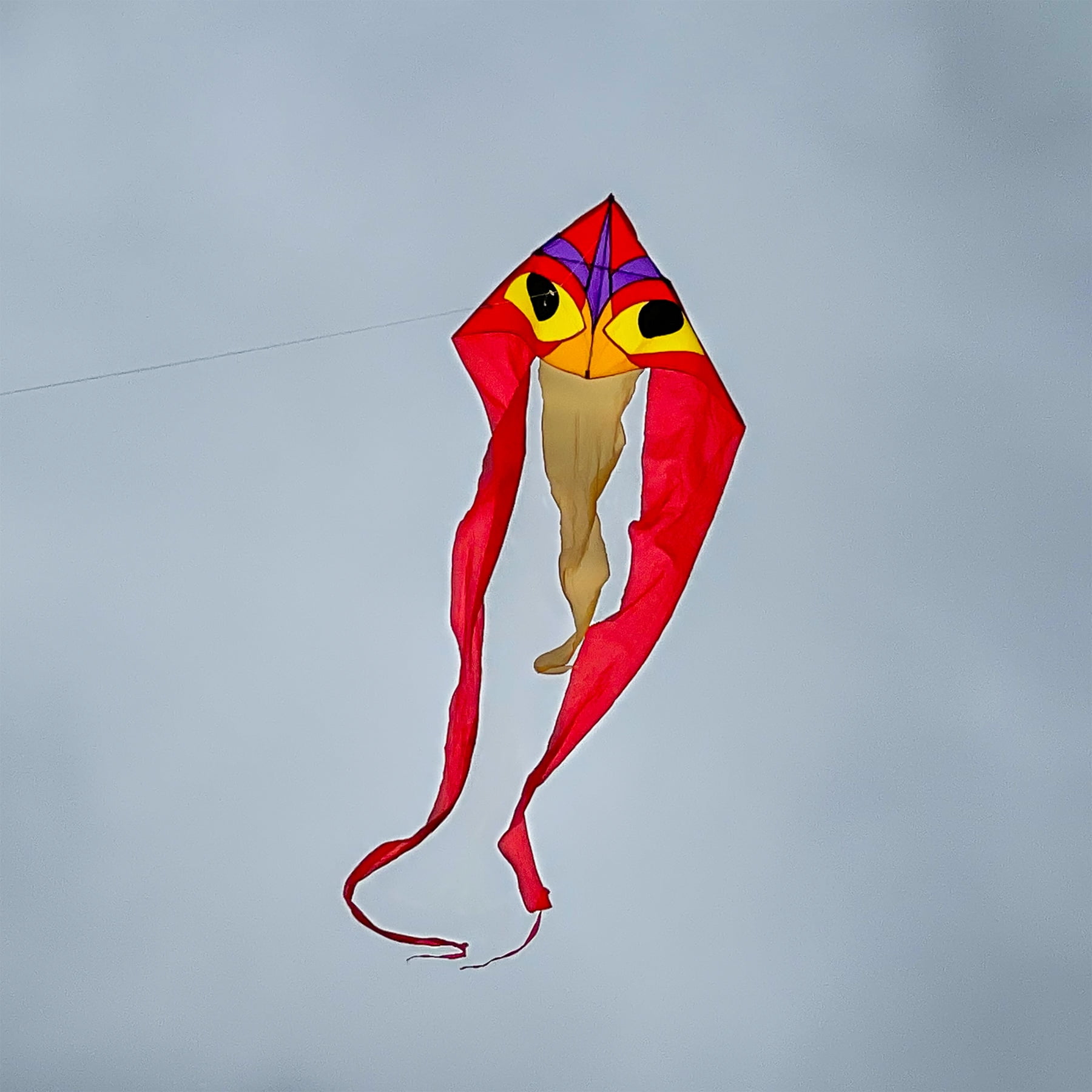 In the Breeze 3152 — Ibis Wave Delta Kite, 52-Inch — Easy Flying Single-Line Kite for Kids and Adults