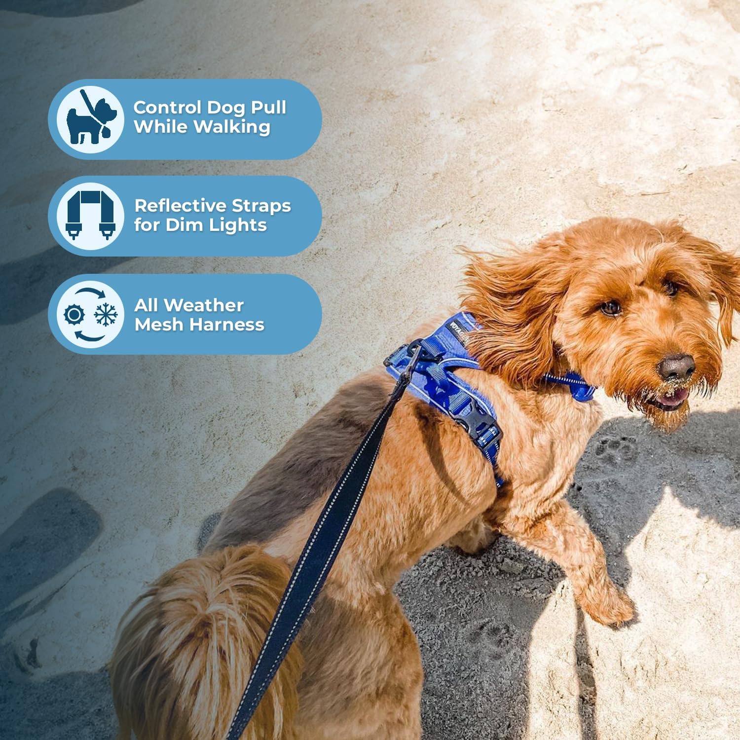 Voyager Dual Leash Attachment Dog Harness, XS, Royal Blue photo 5