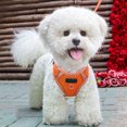 thumbnail image 4 of Deeceymbur Dog Collar and Leash Sets for Medium Dogs, Dog Collar Leash for Dog Training, 4 of 6