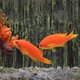 thumbnail image 4 of GOOHOCHY Terrario Board Board Reptil Tank Fondo decorativo Board de paisaje, 4 of 7