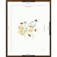 thumbnail image 5 of Art.com Bees and Botanicals III Art Print by Leah York, Brown Frame Wall Art, 23" x 29", 5 of 5