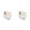 White, variant on CSSJKYJ Vegetable Scrubber Brush- Fruit and Vegetable Brushes,Vegetable Brush Scrubber for Food,Veggie Wash Brush with Stiff Bristles Vegetable Cleaner Brush for Fruits,Potatoes,Carrots & More(Green)
