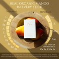 thumbnail image 2 of IV+ Europe - Electrolitos de mango con fruta orgánica, glicina y fibra prebiótica | Mezcla premium para hidratación, apoyo al colágeno y salud digestiva | Sin azúcar añadida | 10 sobres, 2 of 7