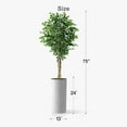 thumbnail image 4 of Artificial Tree in White Marble Effect Planter, Fake Ficus Silk Tree for Indoor and Outdoor Home Decoration - 75" Overall Tall (Plant Pot Plus Tree), 4 of 5