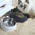 thumbnail image 5 of 1pc Elevated Stainless Steel Cat Bowl, Inclined Food & Water Dish with Cute Ear Stand, Neck Protection Design for Cats, 5 of 9