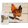 thumbnail image 3 of UltraCruz® Poultry Natural Pest Control Spray, 1 gal, 3 of 4