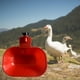 thumbnail image 3 of Gran taza automática de agua para pollos, tazas para beber agua de aves de corral, de llenado automático, alimentador de cuenco para pavo, jinwen cuenco para beber, 3 of 8