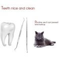 thumbnail image 4 of Professional Dental Tools, 5pack Teeth Cleaning Tools For Dogs, Cats, 4 of 5