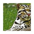thumbnail image 1 of Mystic Clouded Leopard - Canvas, 1 of 10