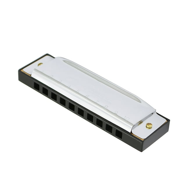 Harmónica 10 Hoyos 20 Tonos Blues Diatónico Tecla de Harmonica de C con Estuche para Niños Principiantes Plata IRIN Harmónica