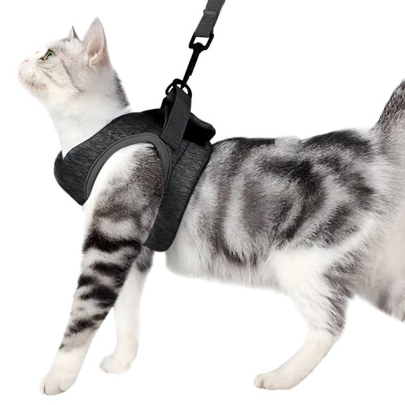 GASTROPOD Cat Harness and Leash for Walking, Escape Proof Soft Adjustable Vest Harnesses for Cats, Easy Control Breathable Jacket, Black