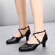 thumbnail image 1 of Zapatos de baile latino de suela blanda, zapatos de salón para mujer, zapatos de baile para niñas, zapatillas de baile, zapatos latinos de práctica de tacón alto, 1 of 5