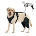 thumbnail image 3 of Dog Collar Knee Brace for Hind Leg for Asian Dog Arthritis L, 3 of 5