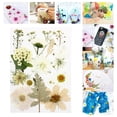 thumbnail image 4 of yuksok Dried Pressed Dry Leaves Bulk Kit for Stickers Making Crafts White, 4 of 7
