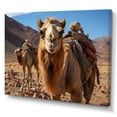 thumbnail image 2 of Designart "Desert Wanderer Camel II" Animals Canvas Art Print, 2 of 5
