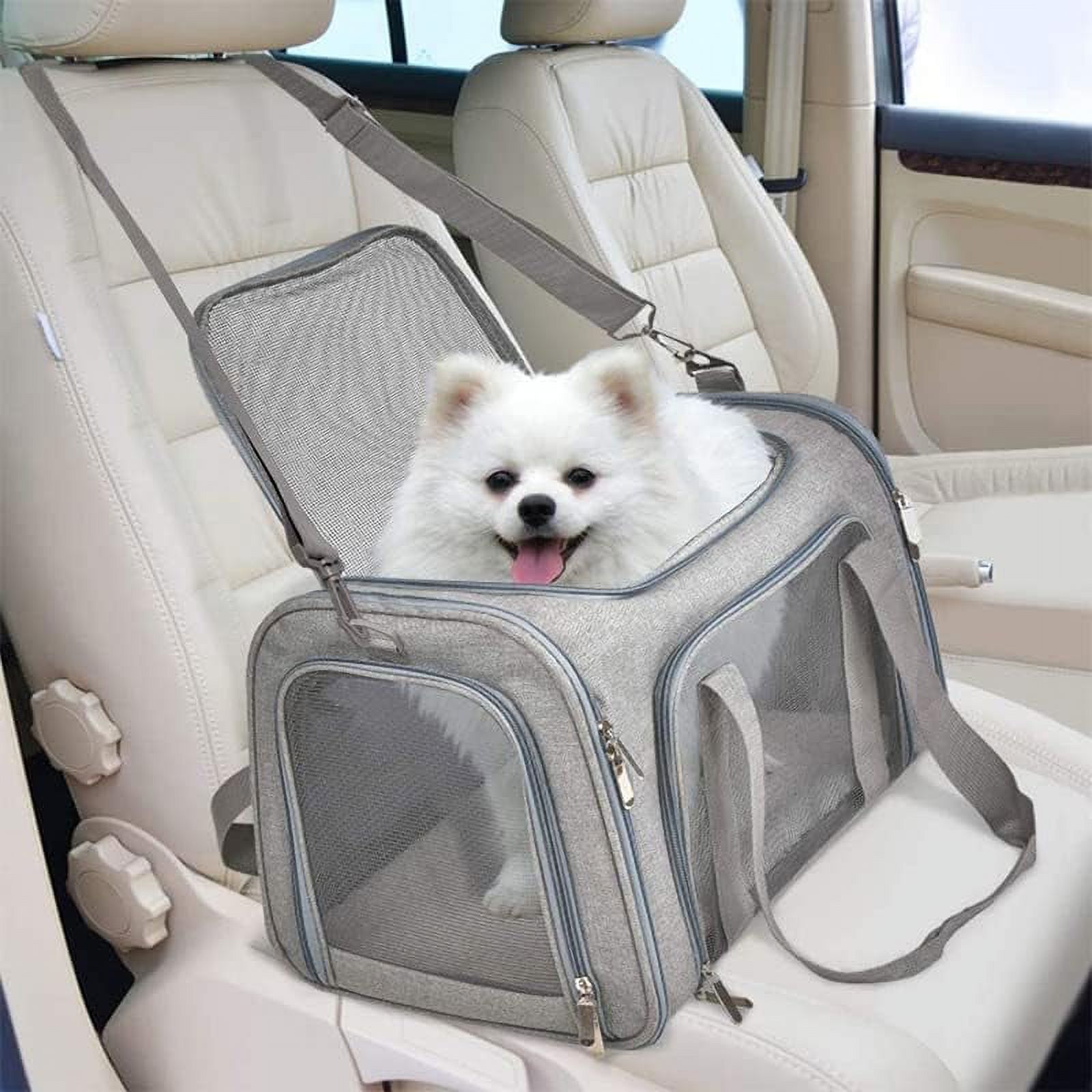 SLGHLSAHG Dog Carrier Cat Carrier Air Approved pet Carrier Bags for ...