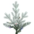 thumbnail image 2 of Vickerman 10' Frosted Eastern Fraser Fir Artificial Christmas Tree, Multi-colored Dura-Lit LED lights, 2 of 5
